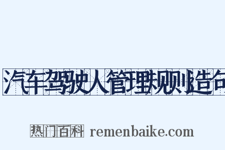 汽车驾驶人管理规则造句是什么意思的图片
